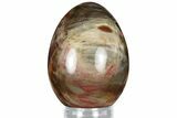 Colorful, Polished Petrified Wood Egg - Madagascar #318352-1